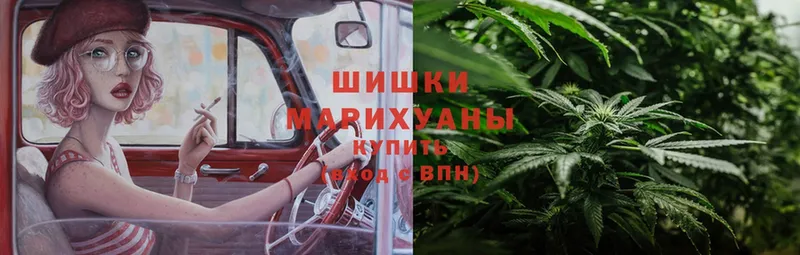 Конопля Ganja  Сергач 